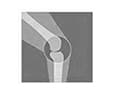 Doctor logo